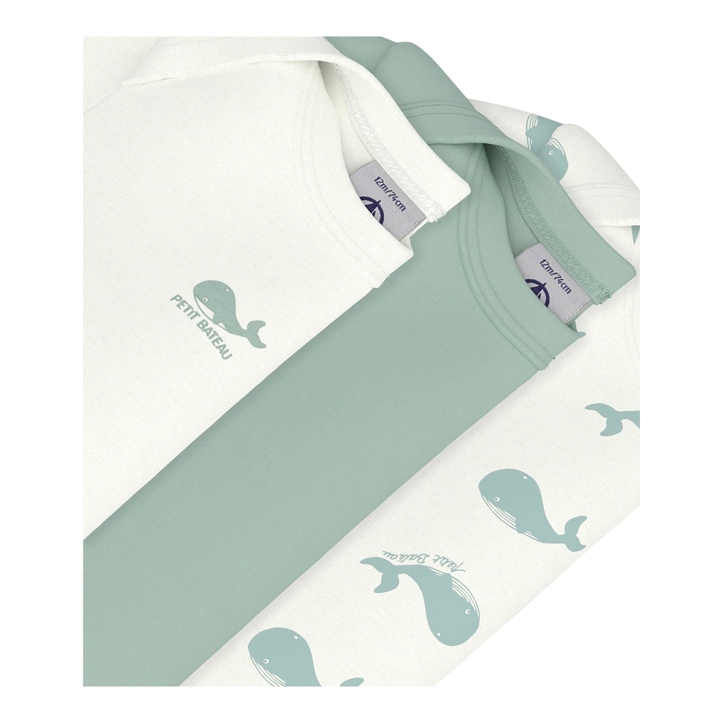 3er-Pack Bodys kurzarm Wale