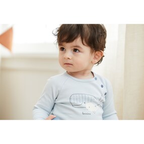 Raglanshirt langarm Wale