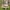 Kindersitzgarnitur Outdoor+, natur  Outdoor+