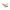 Brot Set