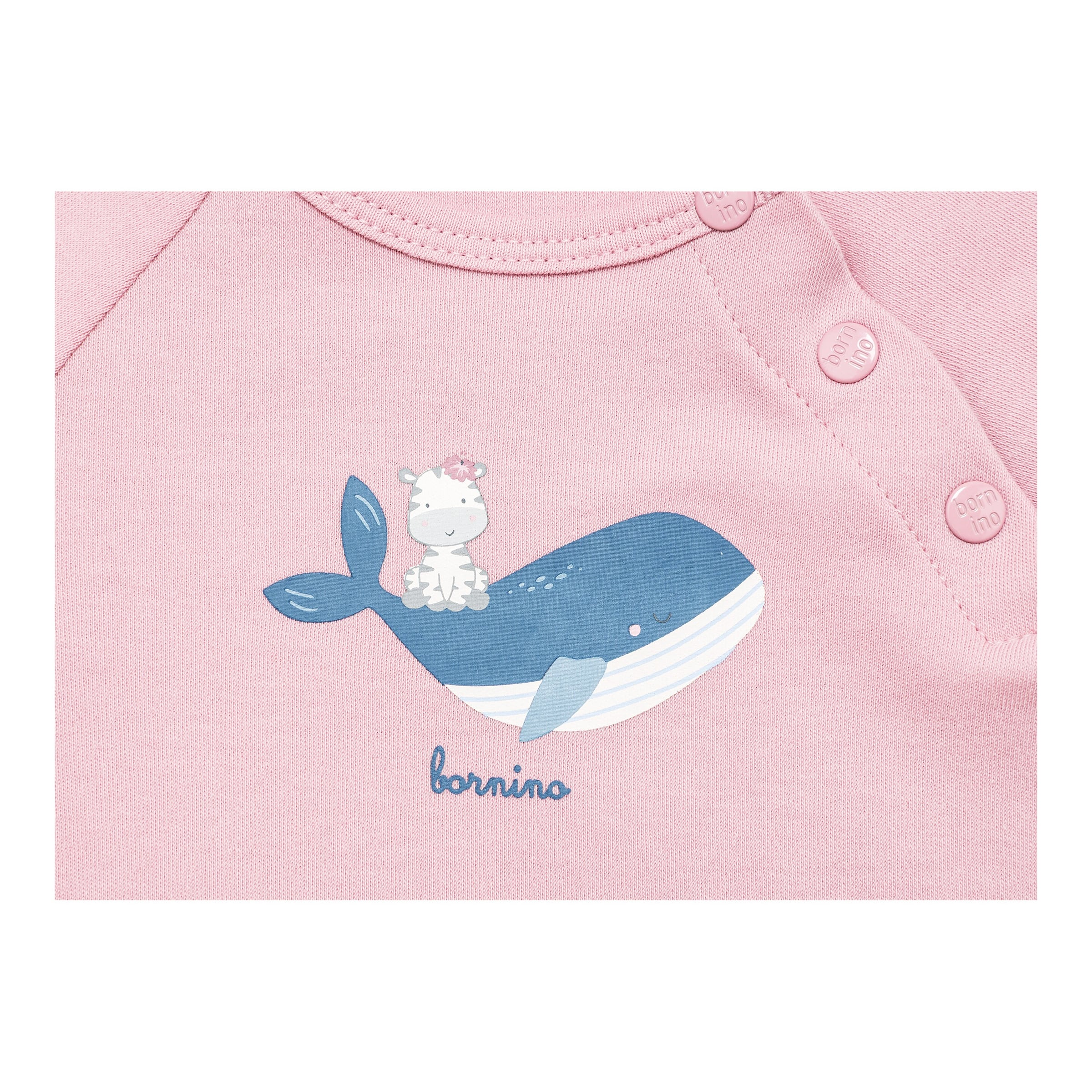 Raglanshirt langarm Wal