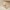 Greifling Rassel Holz Natur und Baumwolle Reh  - ab Geburt