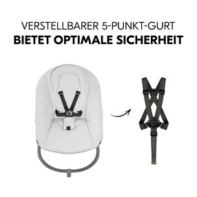 Babywippe Bouncer Premium für Alpha und Beta