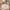 Kinder Teppich Maui Kids Safari Tiere Bunt Rund