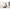 Lauflernwagen Buggy 3in1
