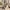 Buggy NUBI 3