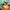 LED-Tischlampe, Fuchsbaby aufladbarer Akku Minecraft
