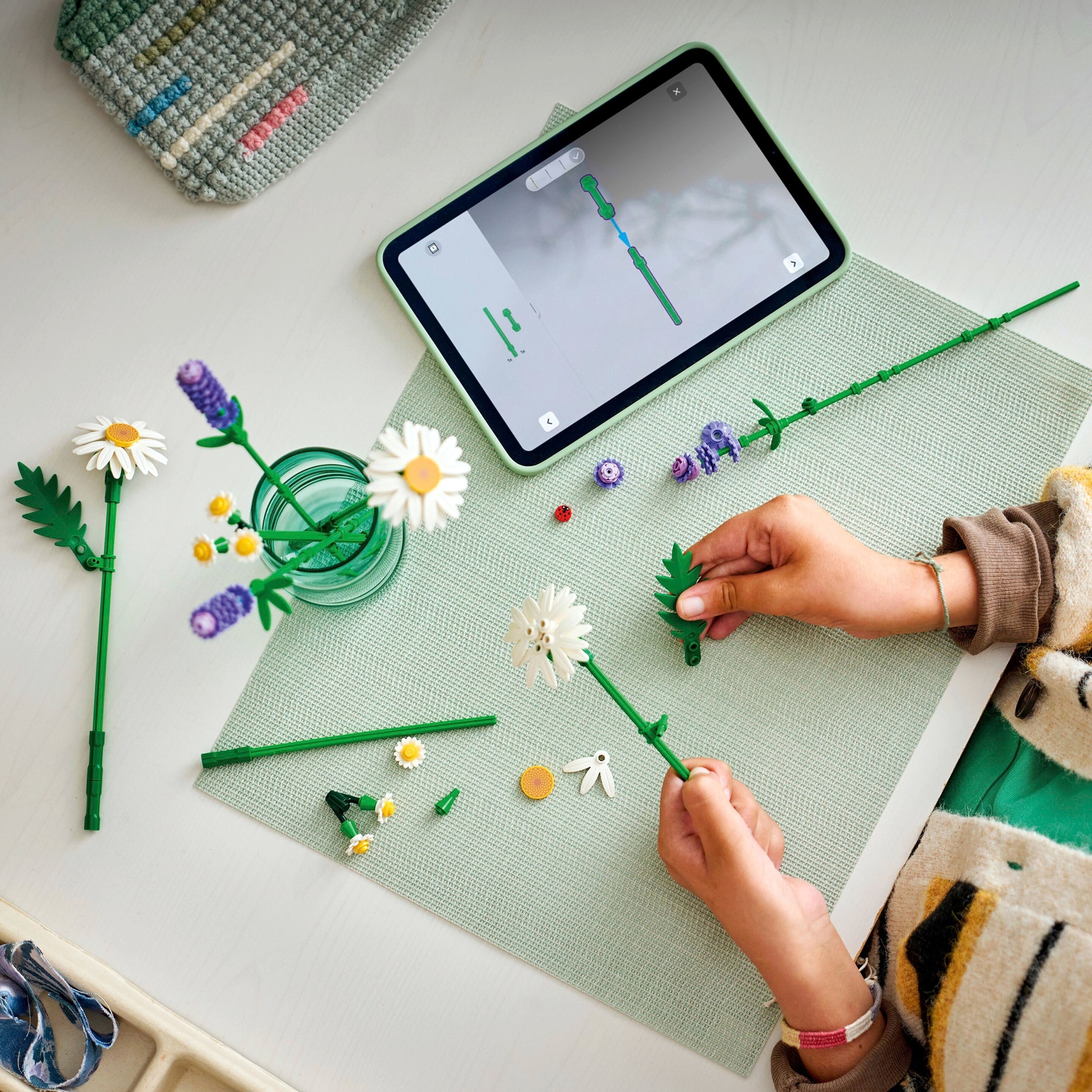 11508 Gänseblümchen