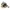 Kuscheltier Haustier Set Hund