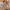 Beistellbett Thomi Plus 5in1