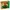 40743 Adventsgesteck