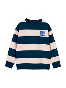 Sweatshirt mit Streifen und Skater-Aufnäher Jungen