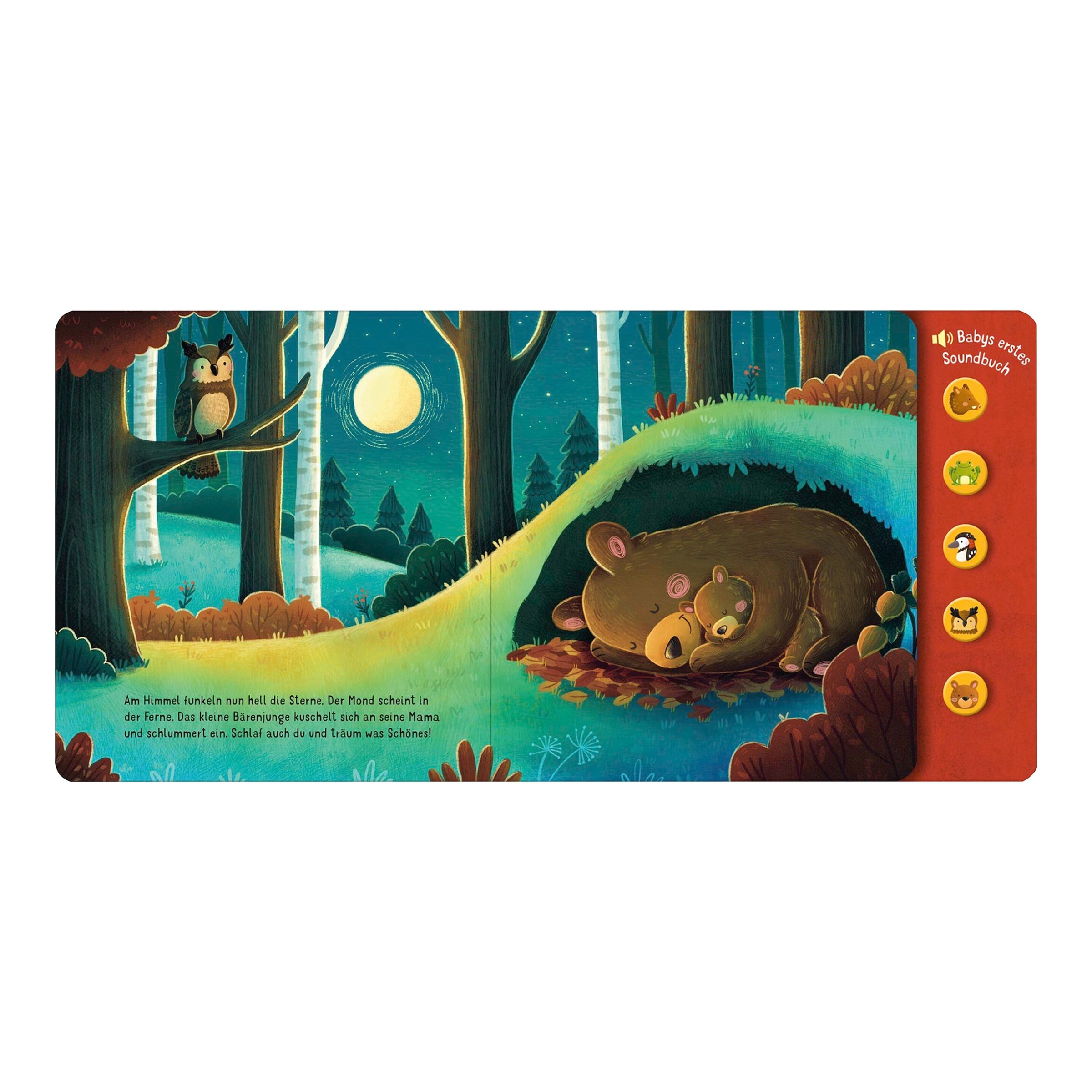 Soundbilderbuch Hör mal, so klingt der Wald!