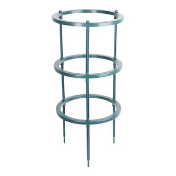 Anneaux pour plantes, 5 pièces