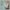 2er-Pack Trinksauger, schnell 6M+
