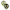 2-er Pack Studio Collection Schnuller Latex, 0-6M