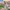 Mountainbike Verona 24 Zoll