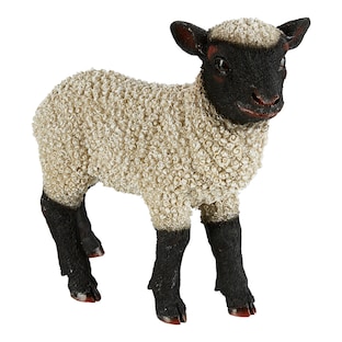 Grand mouton
