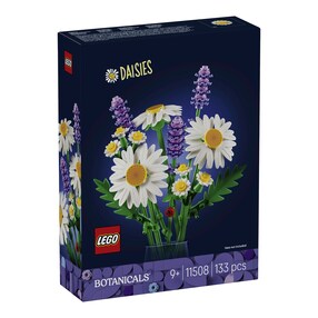 11508 Gänseblümchen