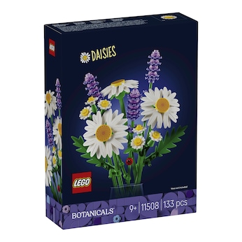 11508 Gänseblümchen