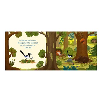 Pappbilderbuch Gute Nacht im Wald