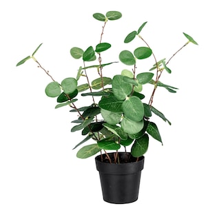 Kunstplant “Eucalyptus”