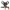 Babytrage Flip Light & Airy 4in1 Mesh
