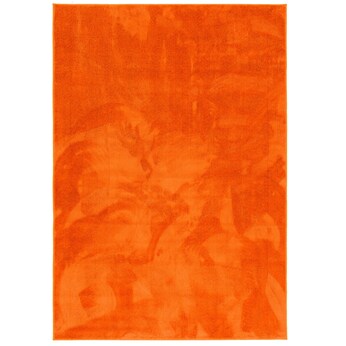 Hochflor Langflor Teppich Super Soft Melia Kids