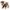 Kuscheltier Hund Lucky 40cm