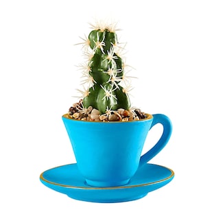 Deco-kopje “Cactus”