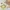 Badespielzeug Kescher Frosch Plansch & Play