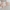 Sommerschlafsack Musselin 0.5 TOG