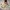 10467 Familienhaus