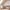 Kinderzimmerset Jimmy cashmere/eiche