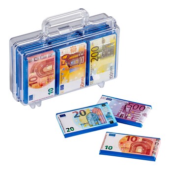Koffertje met eurobiljetten, 112,5 g