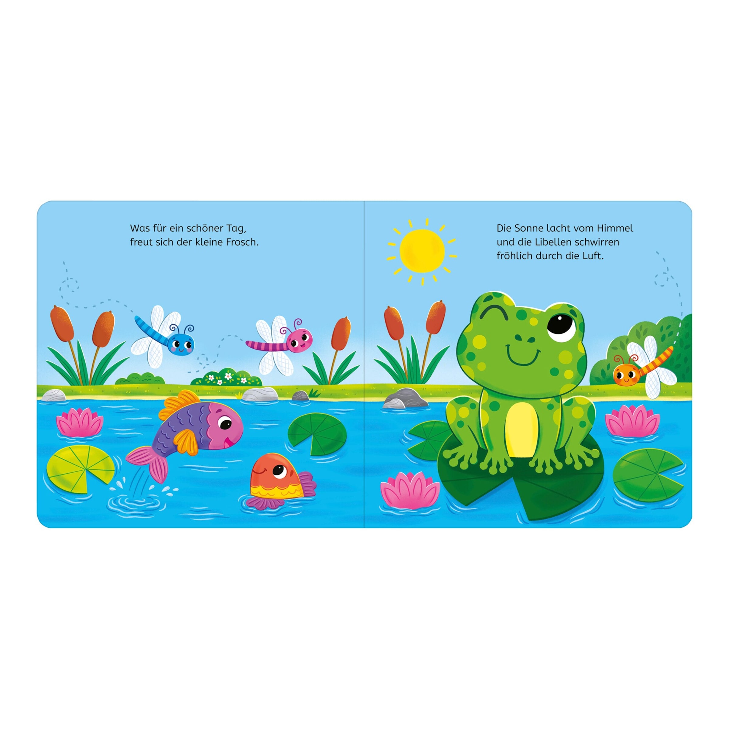 Arsedition Bilderbuch Kuckuck, kleiner Frosch!