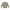 Pullover Ringel
