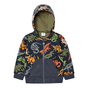 Sweatjacke Dinos