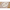 Strampler-Set 2-tlg. mit Shirt Schaf Wolken