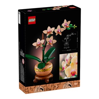 10343 Mini-Orchidee