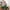 Rutscher rollyMinitrac John Deere 6150R
