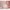 Bundle Sleepi Mini inkl. Umbausatz, 2 Matratzen und 2 Spannbetttüchern