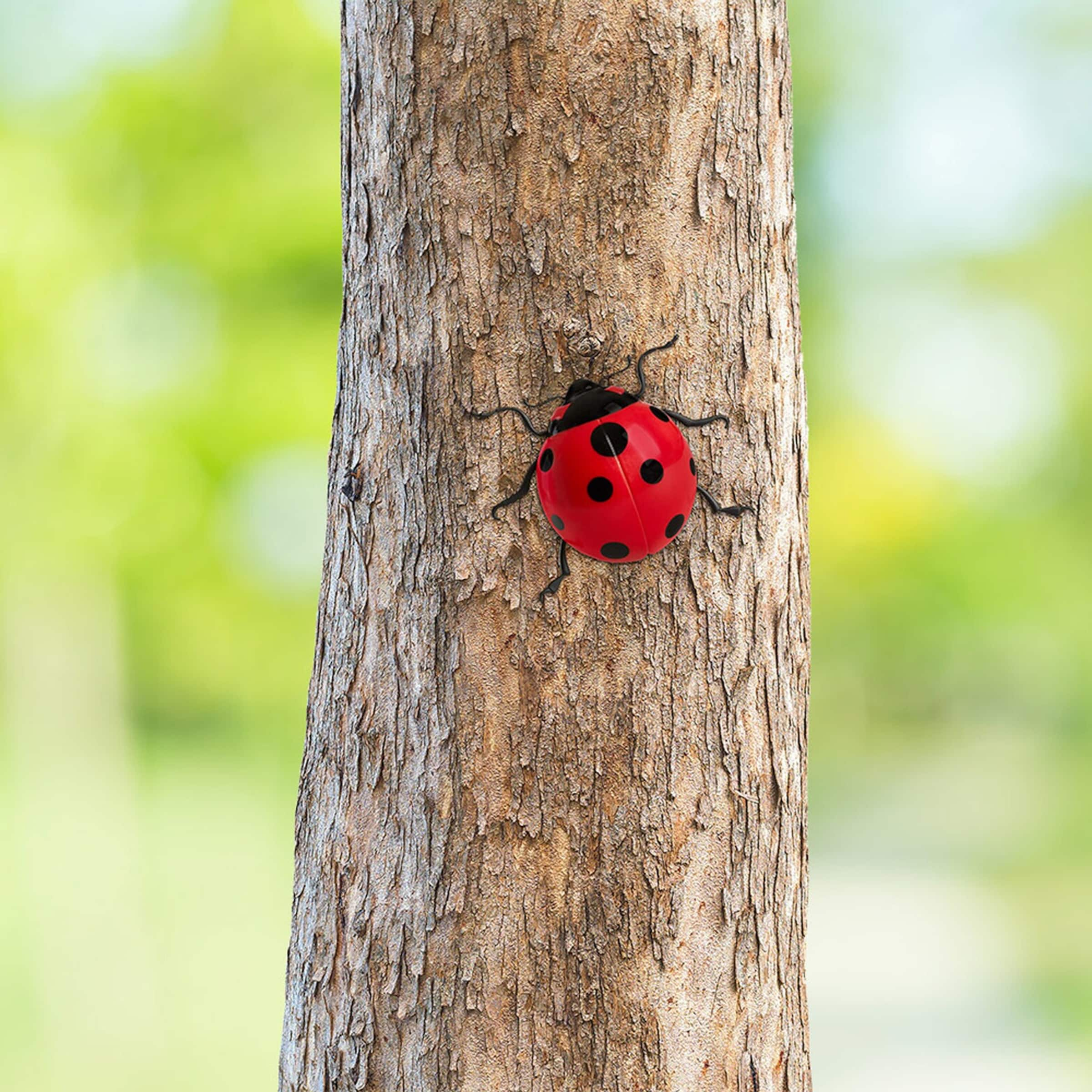 viva domo Coccinelle d co g ante Maison Confort