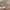 Beistellbett Thomi Plus 5in1