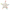 Greifling Knister-Seestern Meereskinder