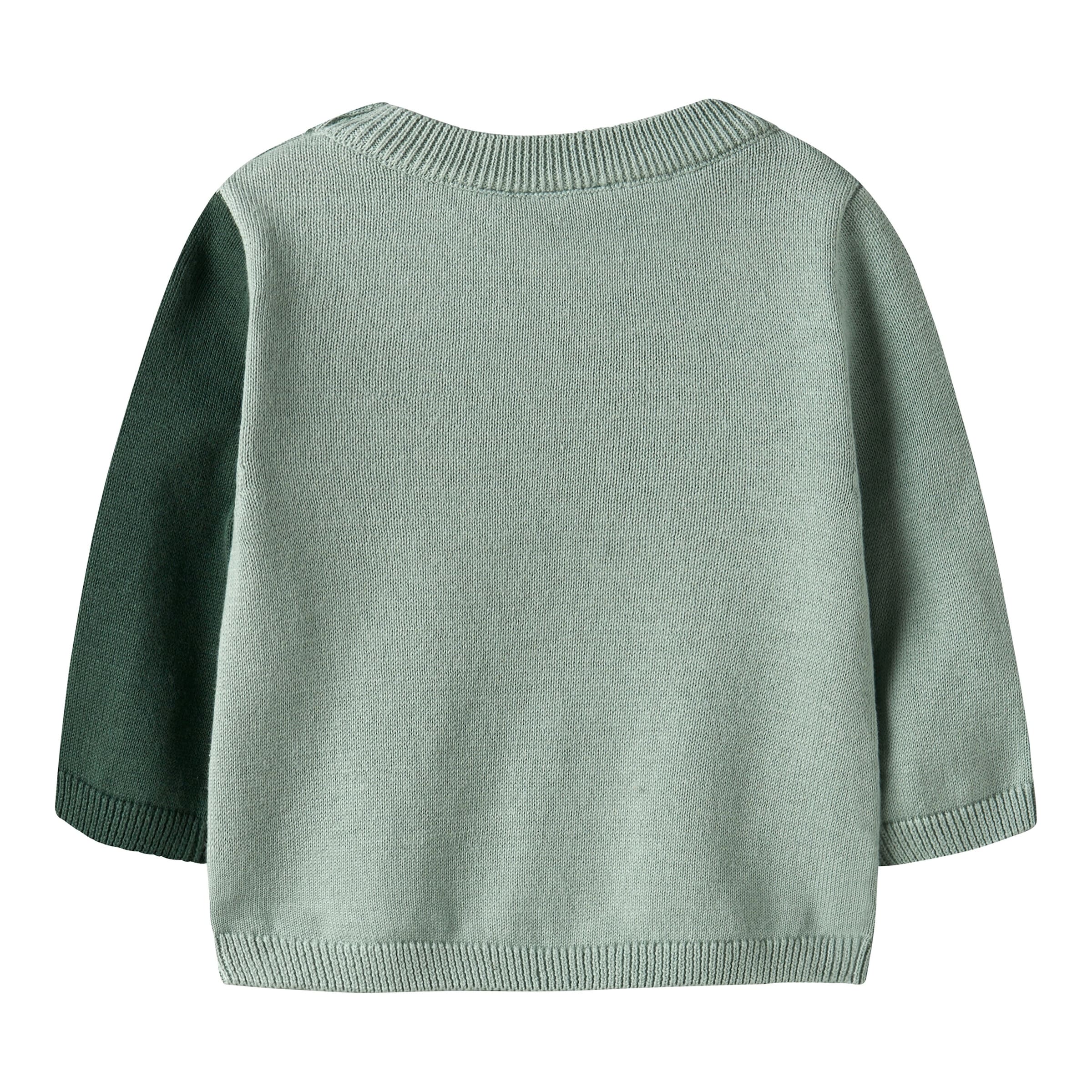 Name It Pullover Dino