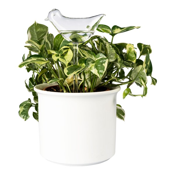 Productvoorbeeld 2