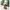 Puppenwagen Cybex