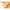 Spieler Safari