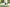 Spielpferd Outdoor  Outdoor + Sheddie
